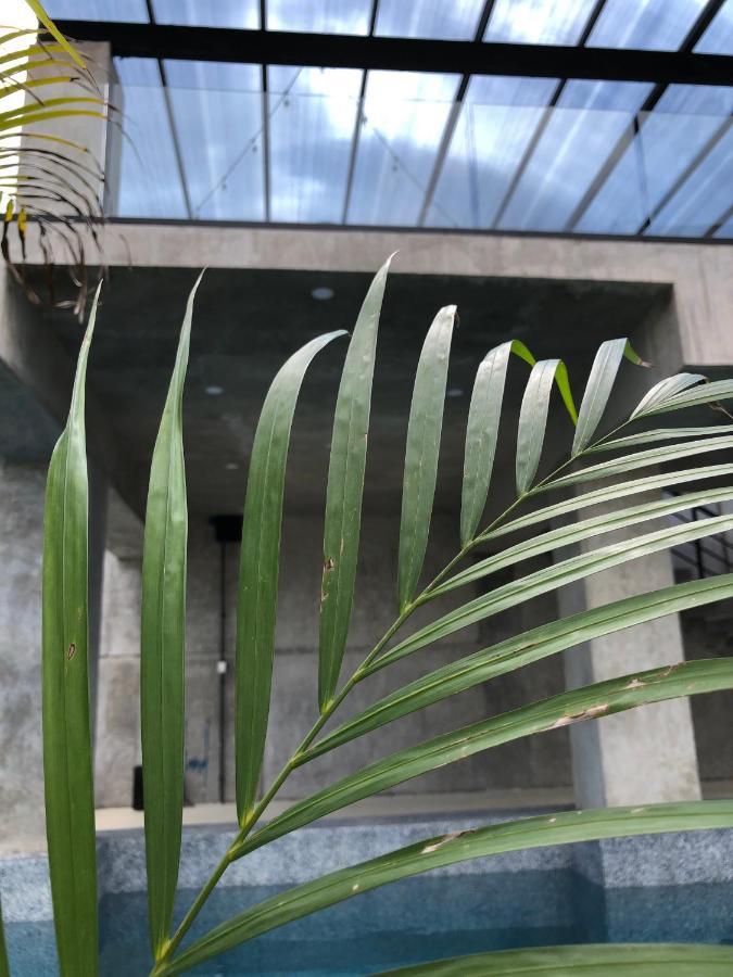 Hotel Suites La Negra Boutique Merida Bagian luar foto