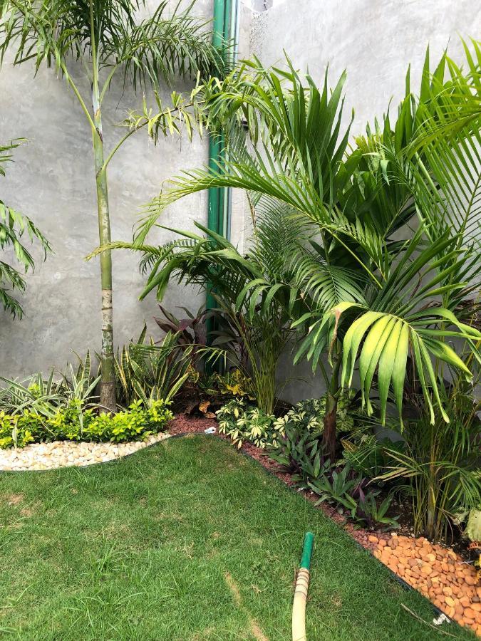 Hotel Suites La Negra Boutique Merida Bagian luar foto